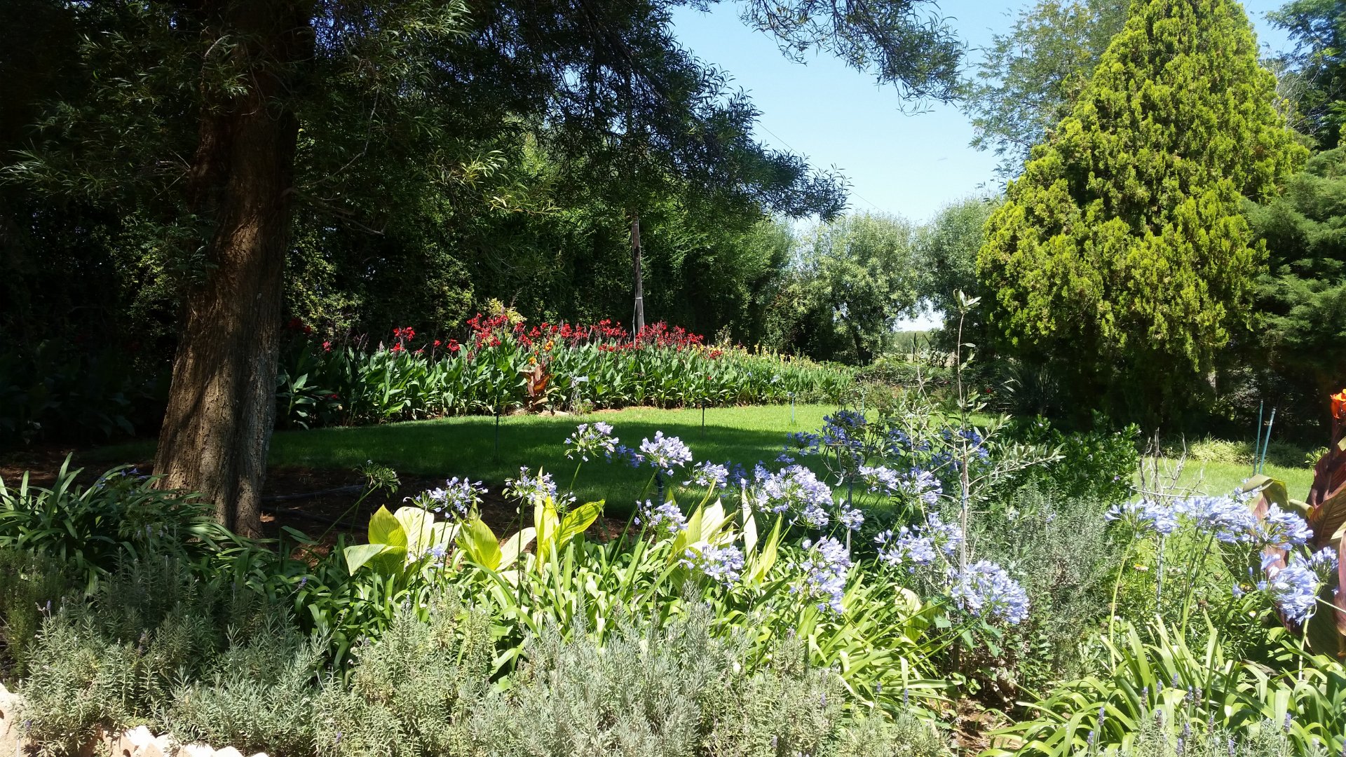 PRICE  REDUCED !!!  Start your day with this view  !! photo 2