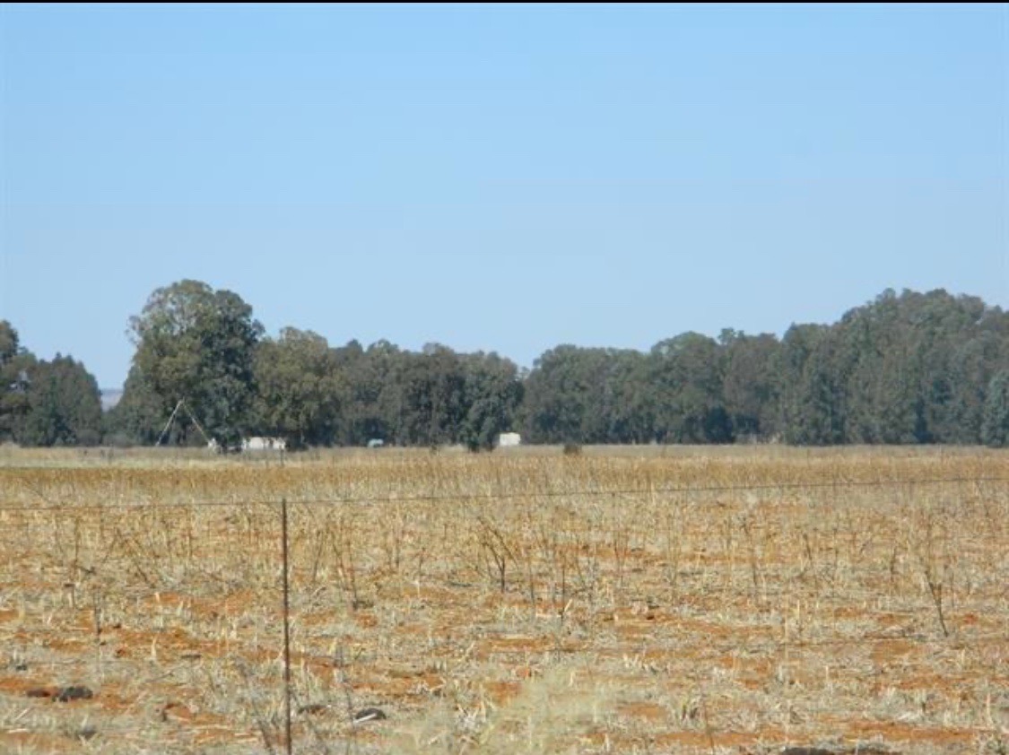Full Title vacant plot for sale  photo 4