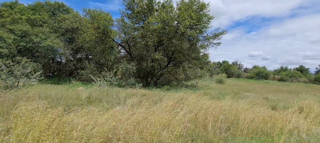  Incredibly well looked after Grazing land photo 3