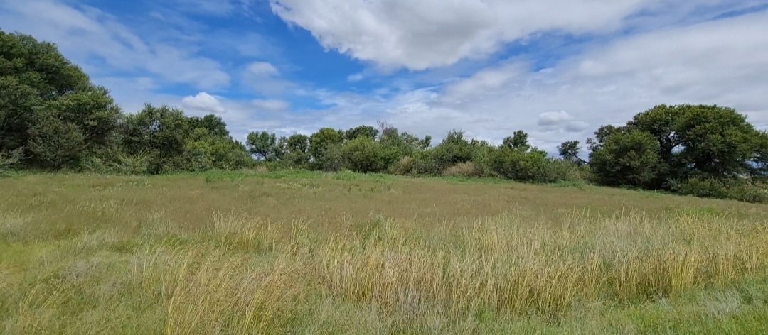  Incredibly well looked after Grazing land photo 4