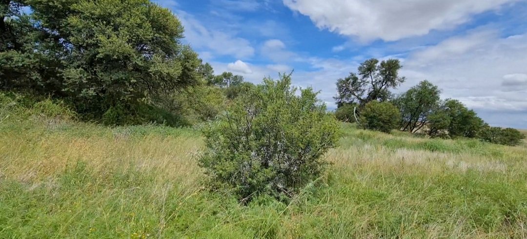  Incredibly well looked after Grazing land photo 5