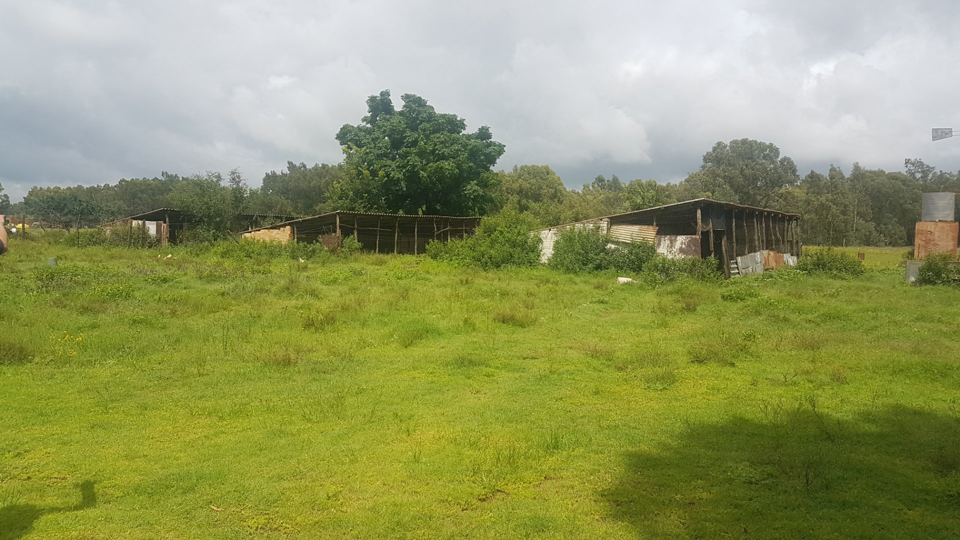 WELL PRICED THIS AREA.... 4.6ha FULL TITLE WITH BACHELOR FLAT !
