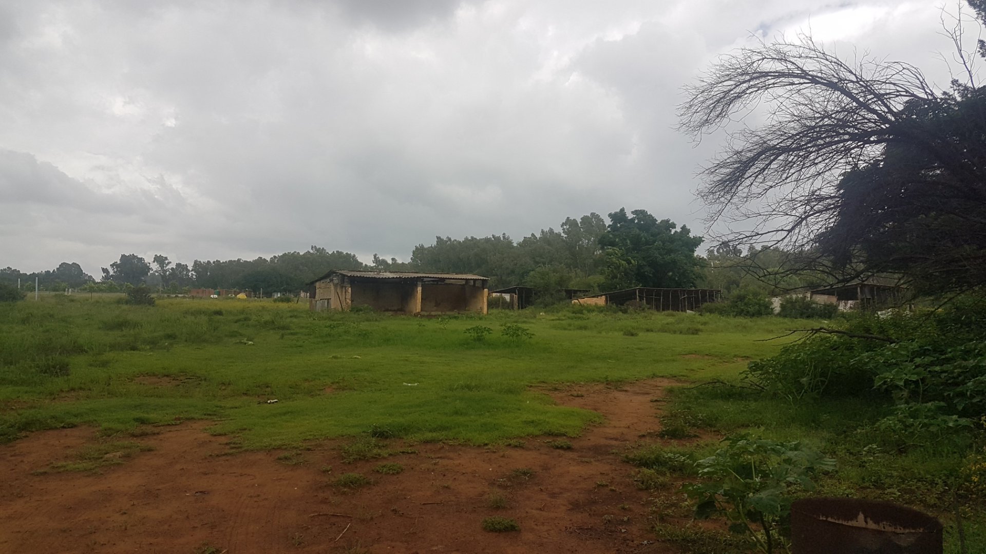 WELL PRICED  THIS AREA.... 4.6ha FULL TITLE WITH  BACHELOR FLAT  ! photo 5
