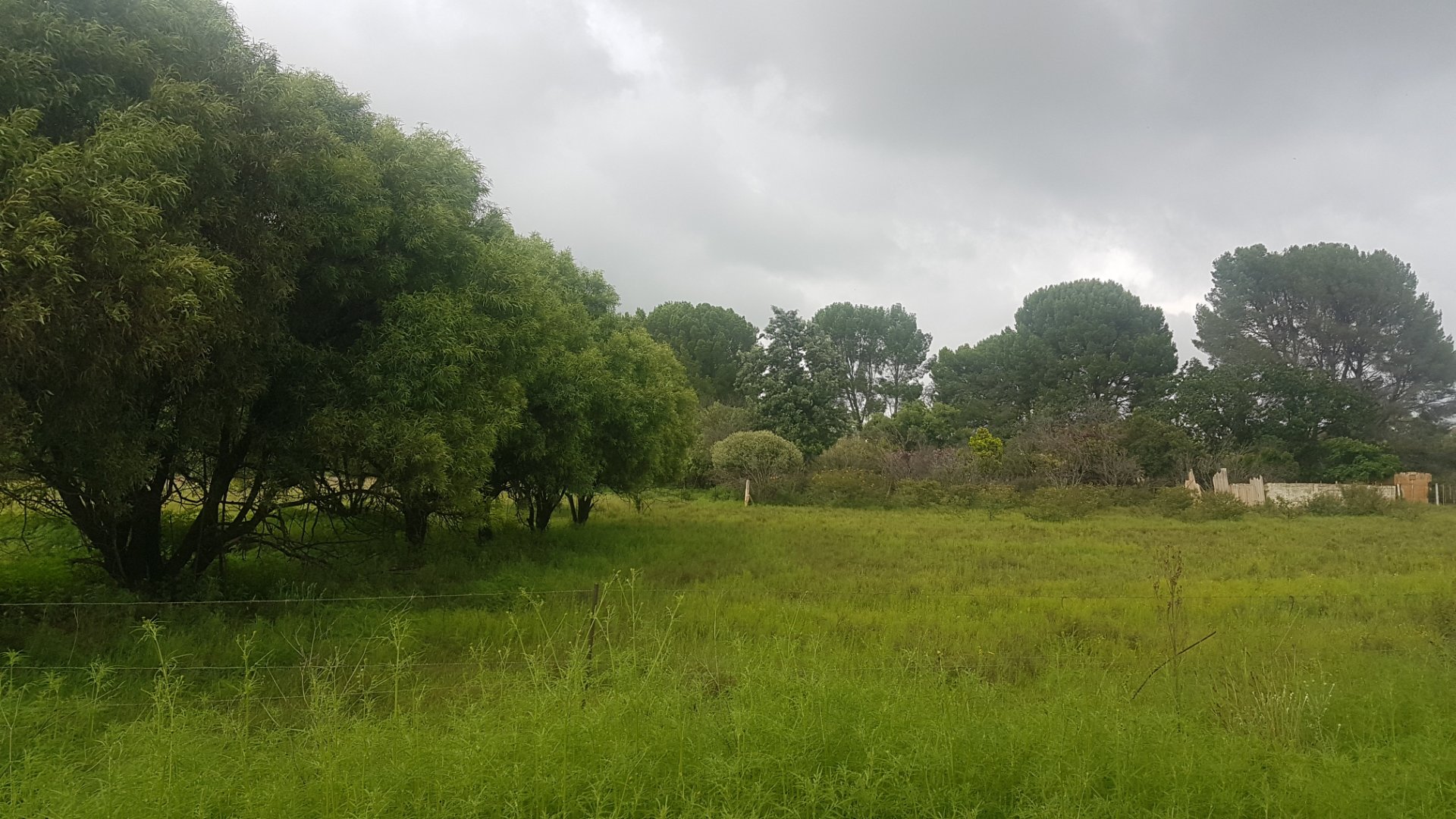 WELL PRICED  THIS AREA.... 4.6ha FULL TITLE WITH  BACHELOR FLAT  ! photo 3