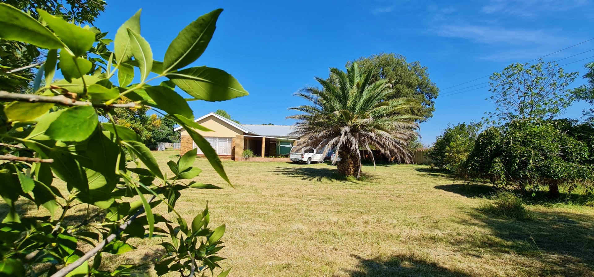 WATER PARADISE WITH 8 HA REGISTERED IRRIGATION AND 9 BOREHOLES