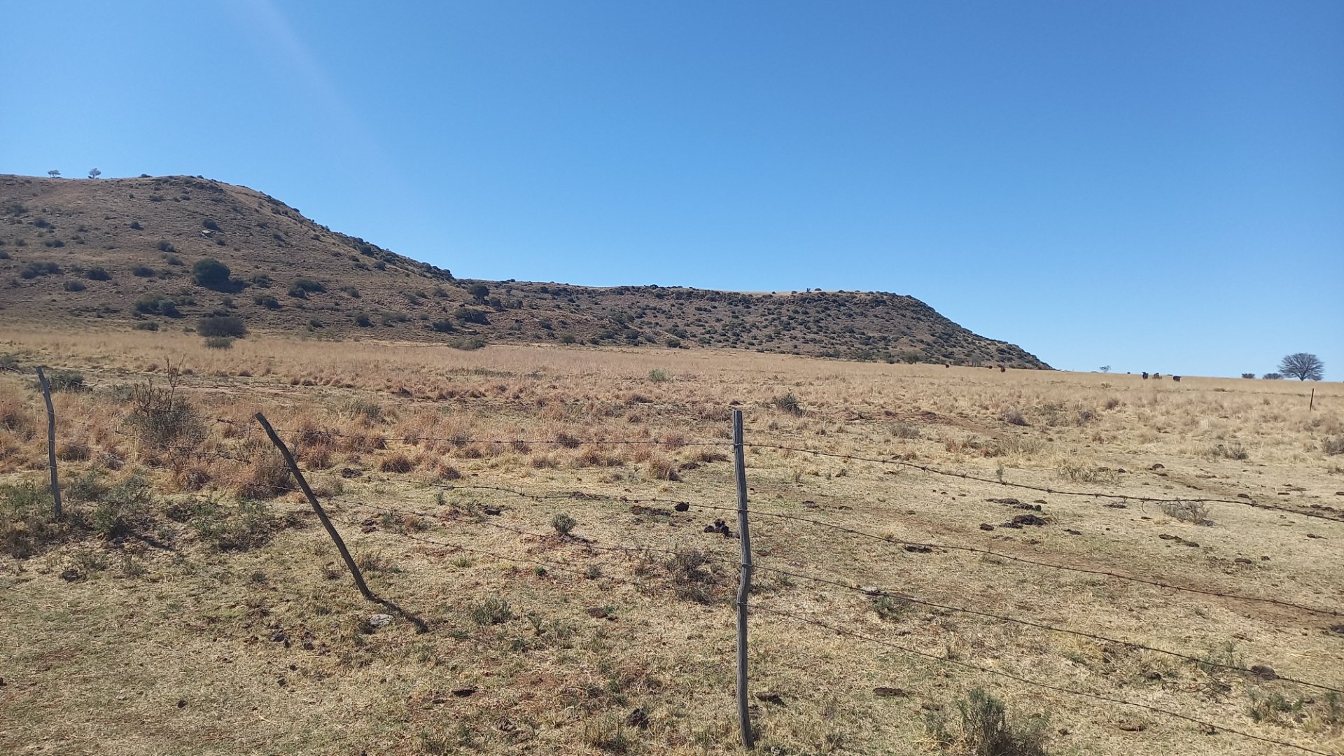 Farm for sale Dewetsdorp photo 4