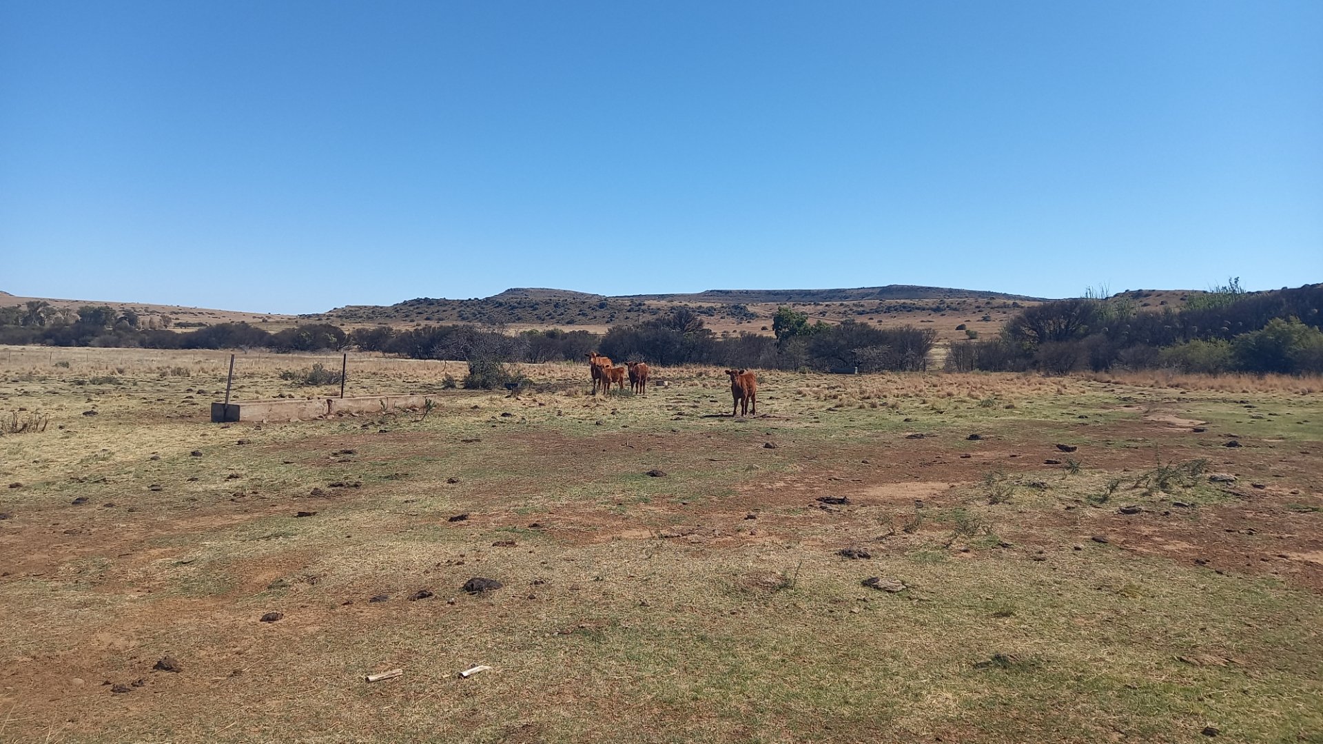 Farm for sale Dewetsdorp photo 5