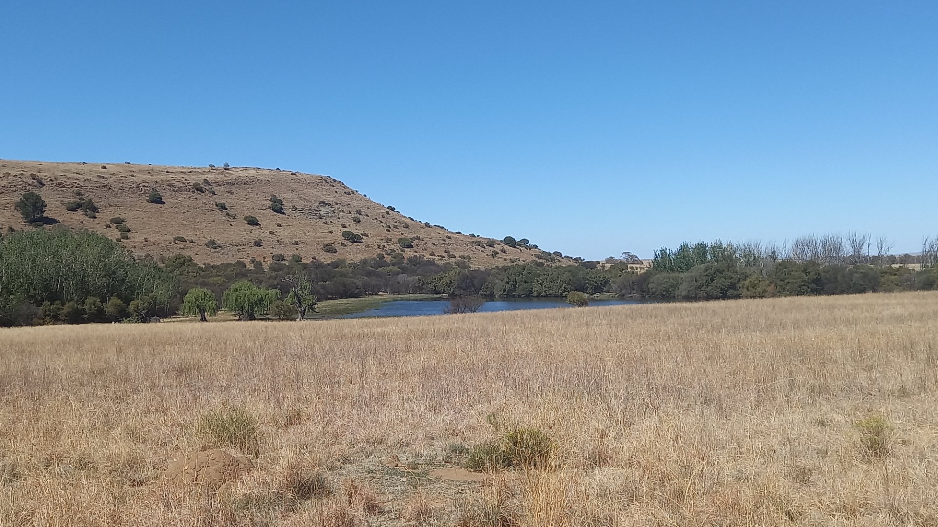 Farm for sale Dewetsdorp