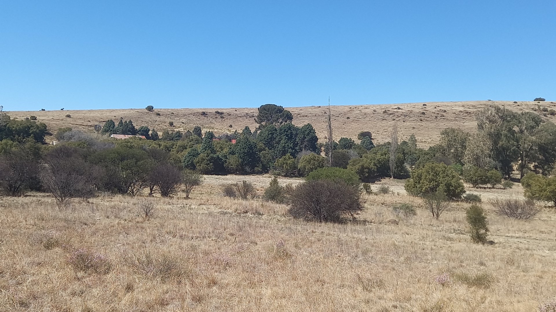 Farm for sale Dewetsdorp photo 2