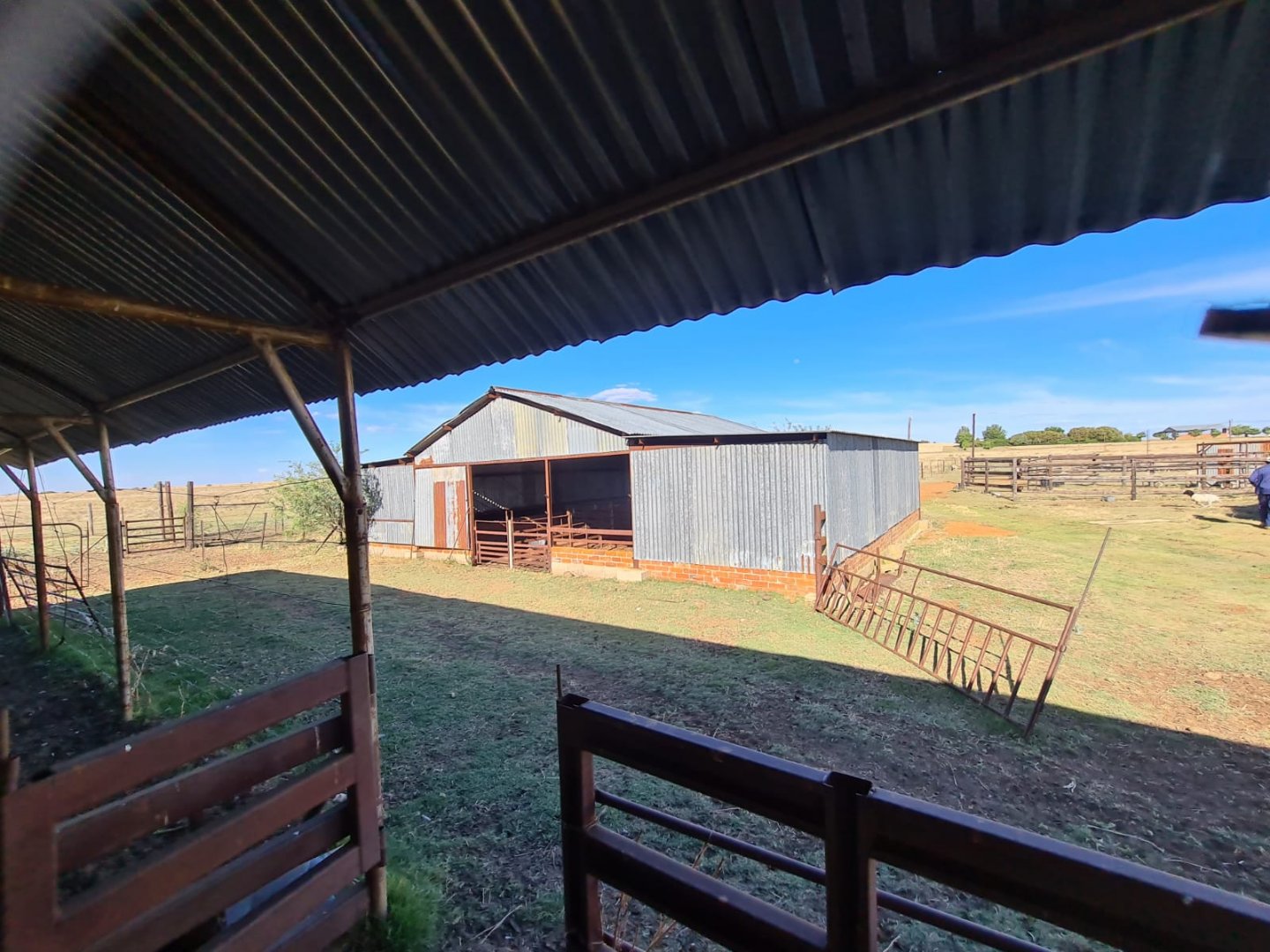 EXCELLENT CATTLE FARM WITH 10 HA IRRIGATION photo 3