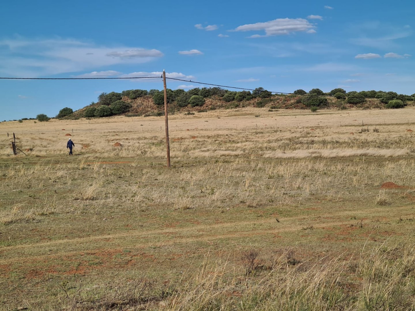 EXCELLENT CATTLE FARM WITH 10 HA IRRIGATION photo 4