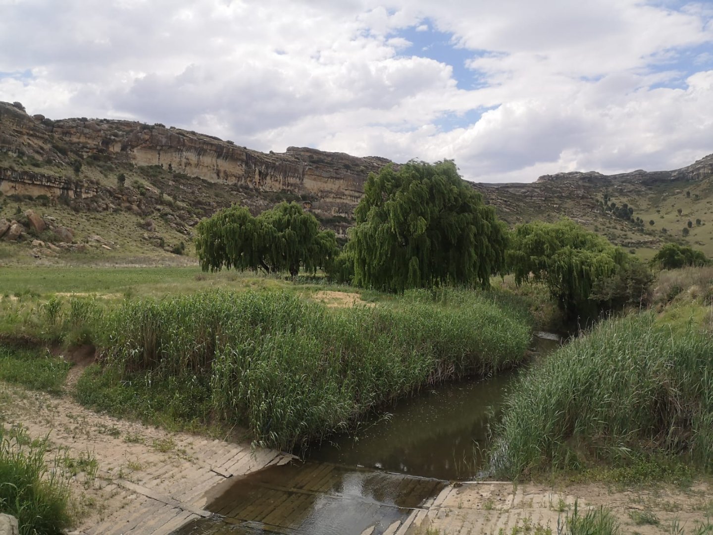Particularly beautiful farm with sandstone houses and buildings  photo 5