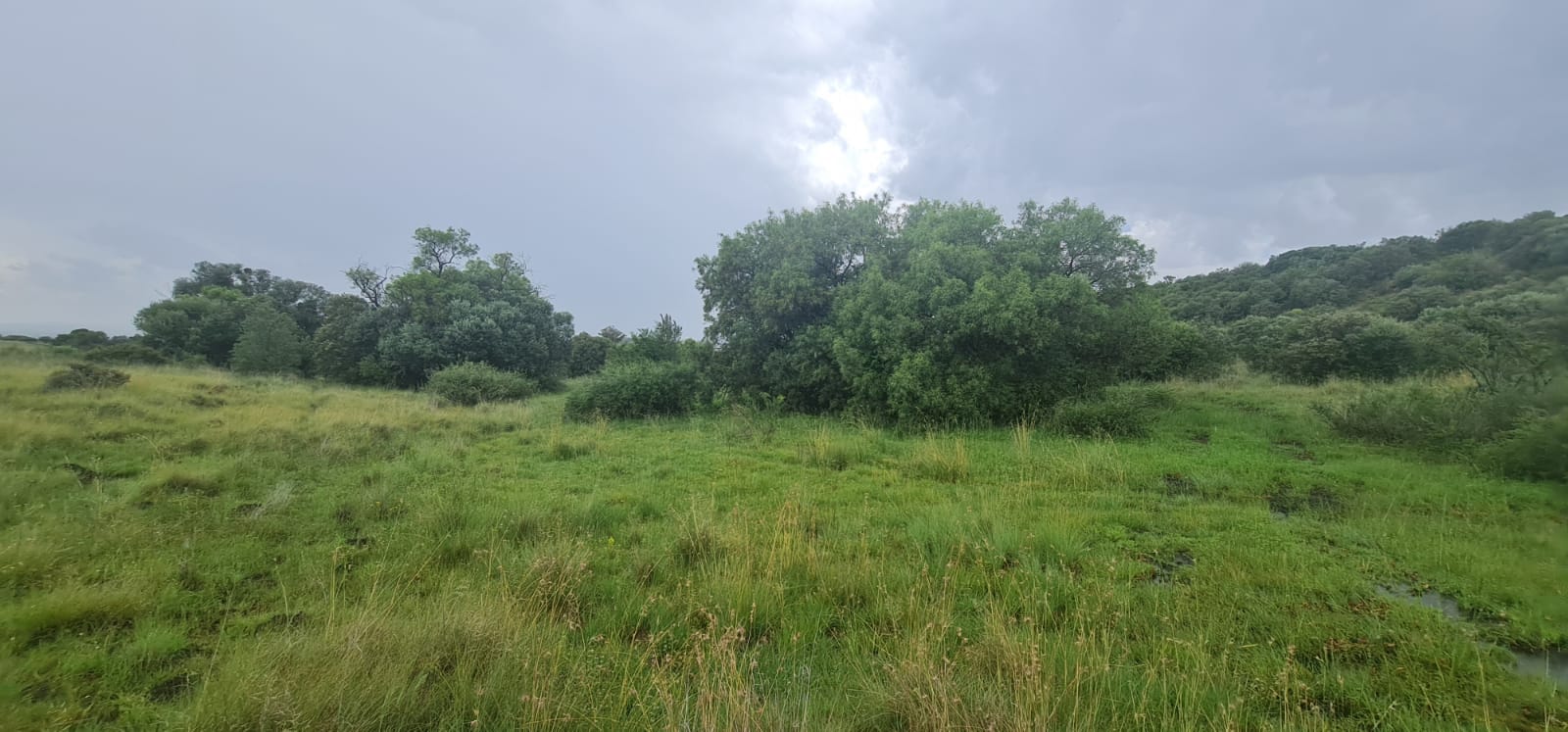 52 Ha Vacant land with outstanding natural beauty photo 5