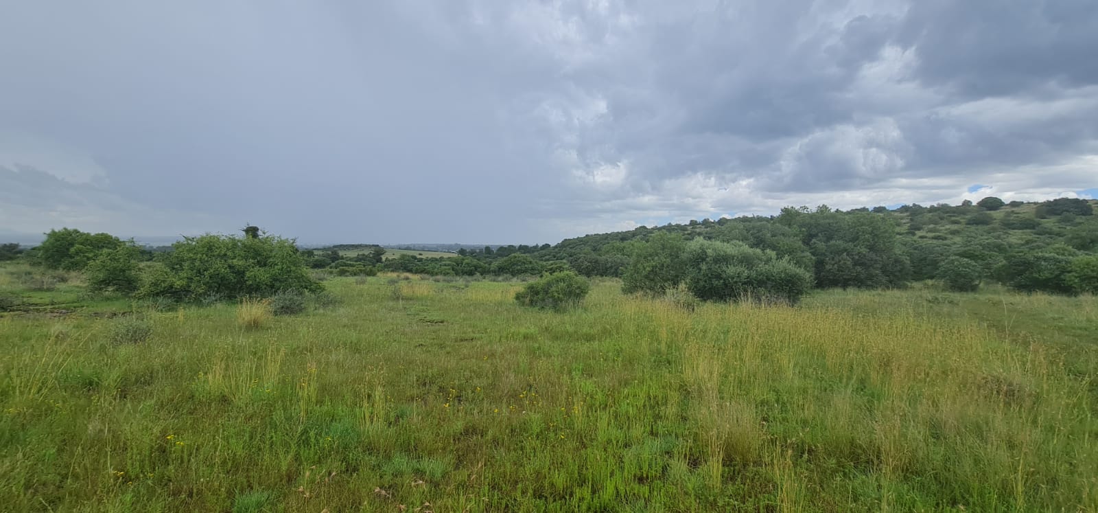 52 Ha Vacant land with outstanding natural beauty photo 2
