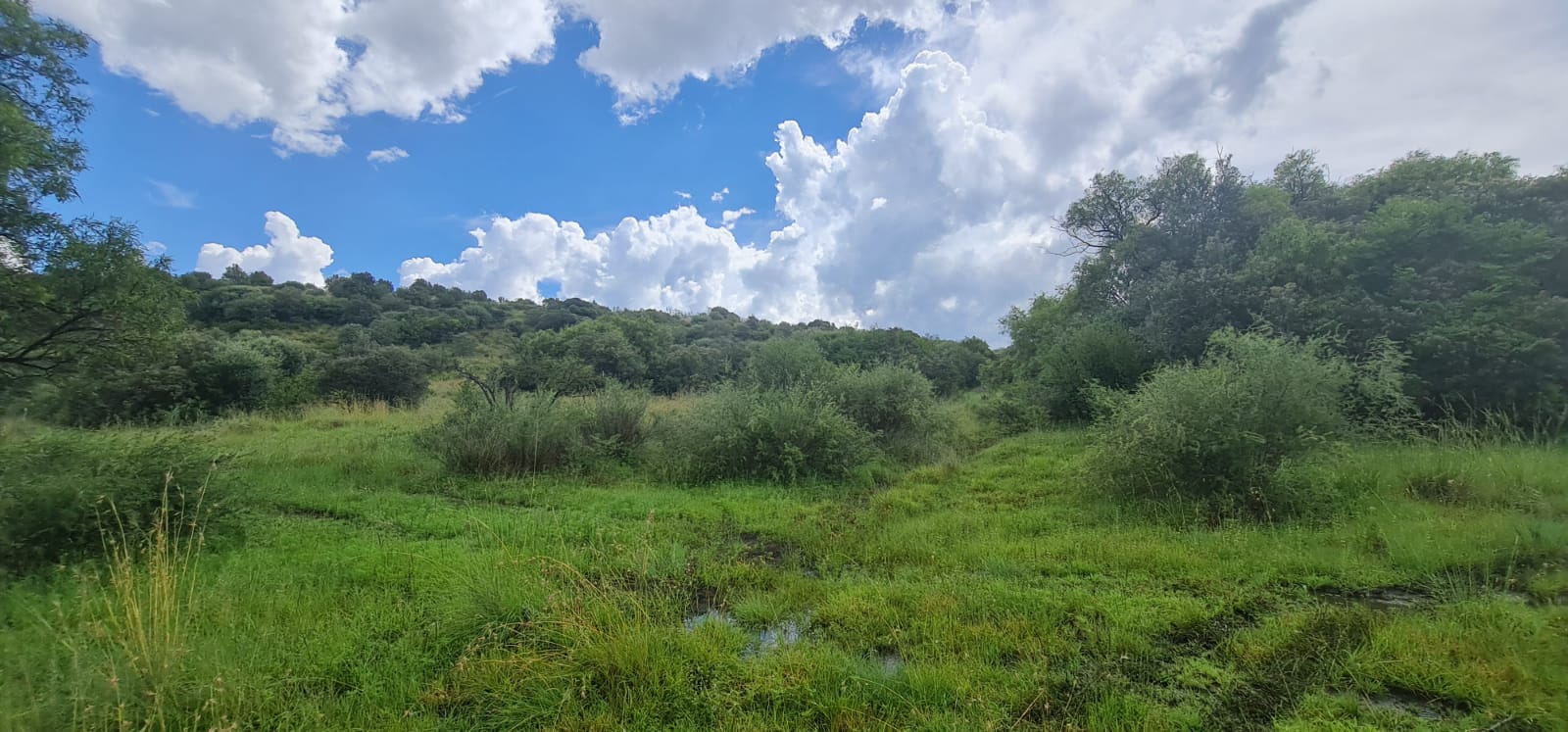52 Ha Vacant land with outstanding natural beauty