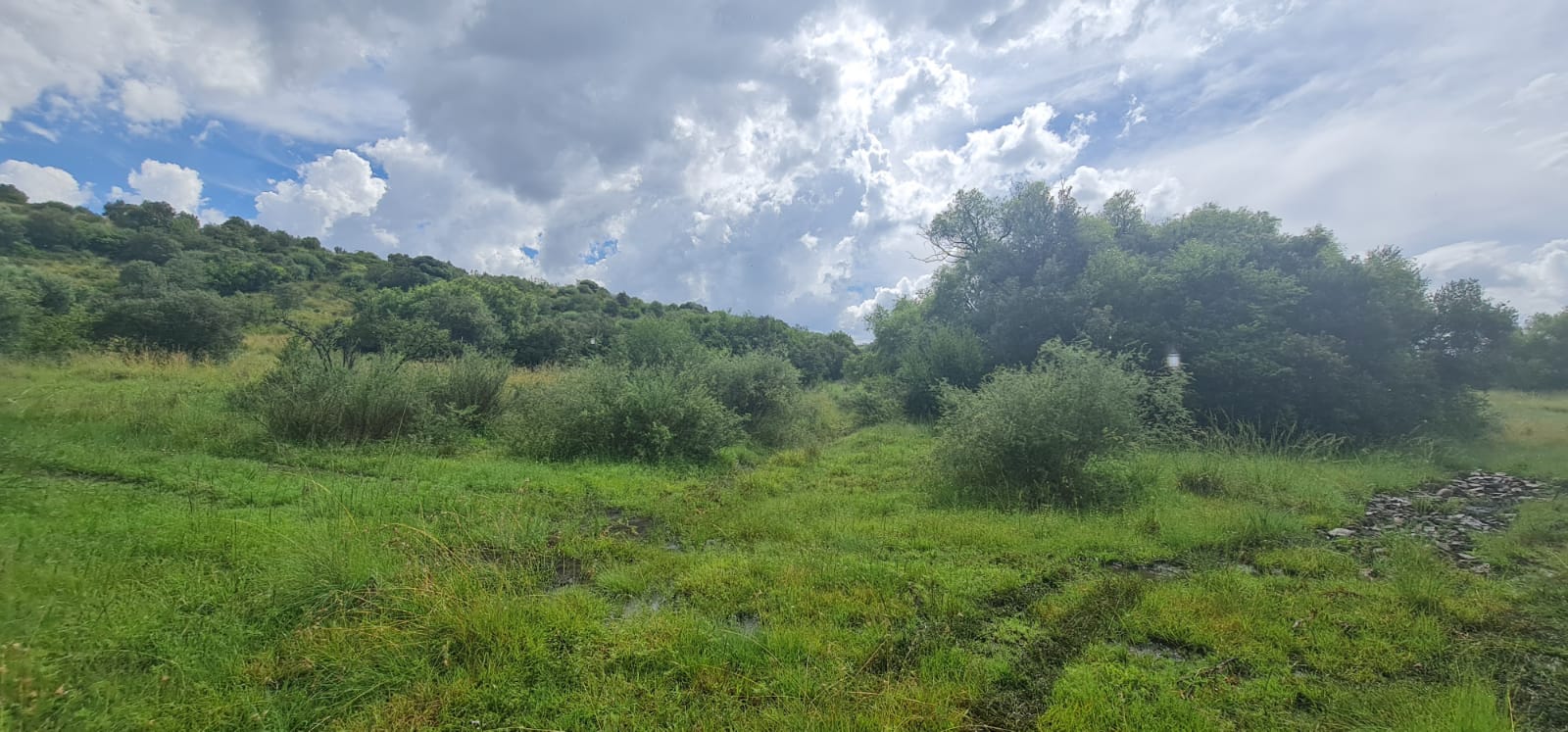 52 HA VACANT LAND VERY CLOSE TO TOWN