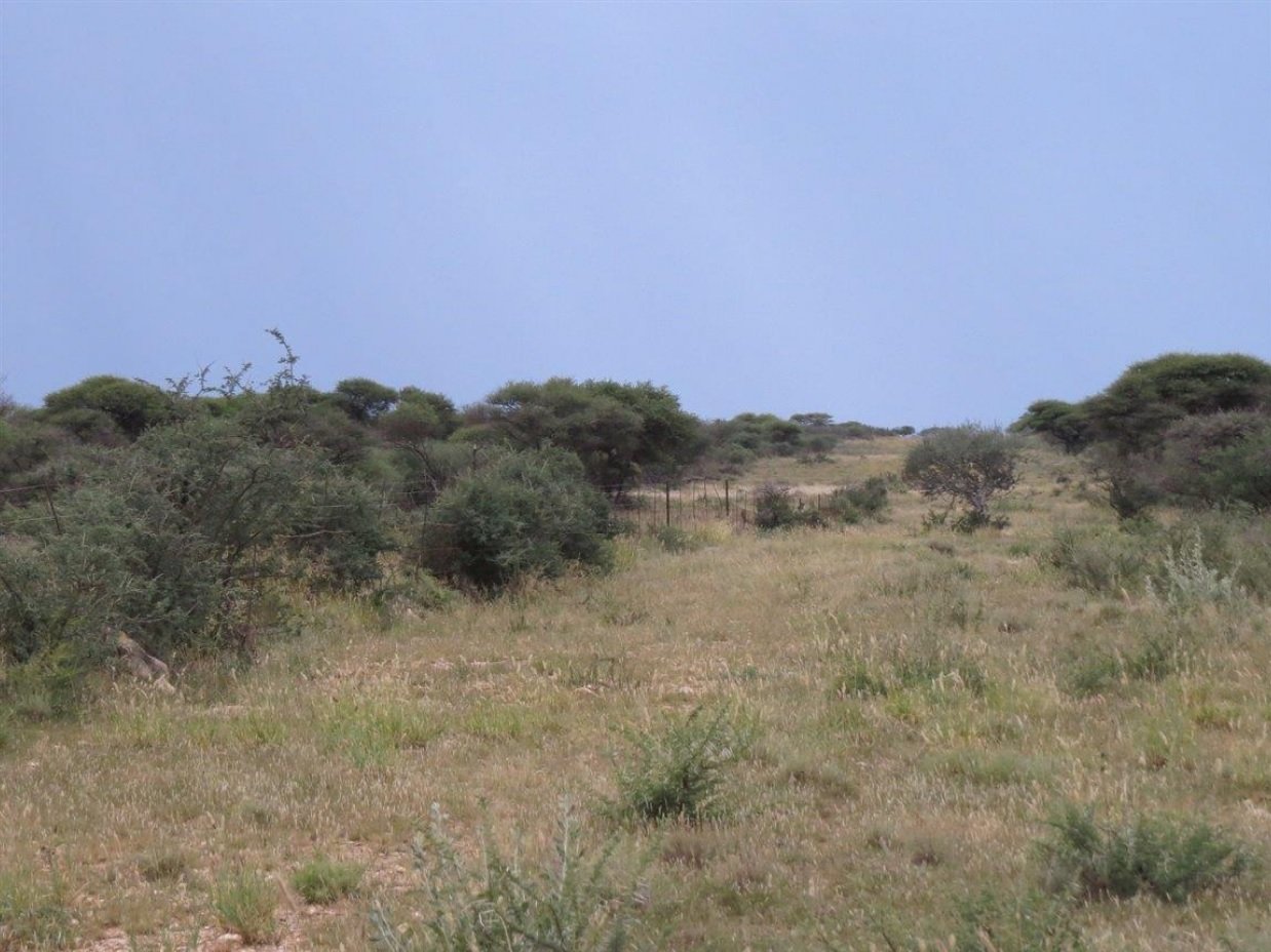 DOUGLAS CAMBLETON   photo 4