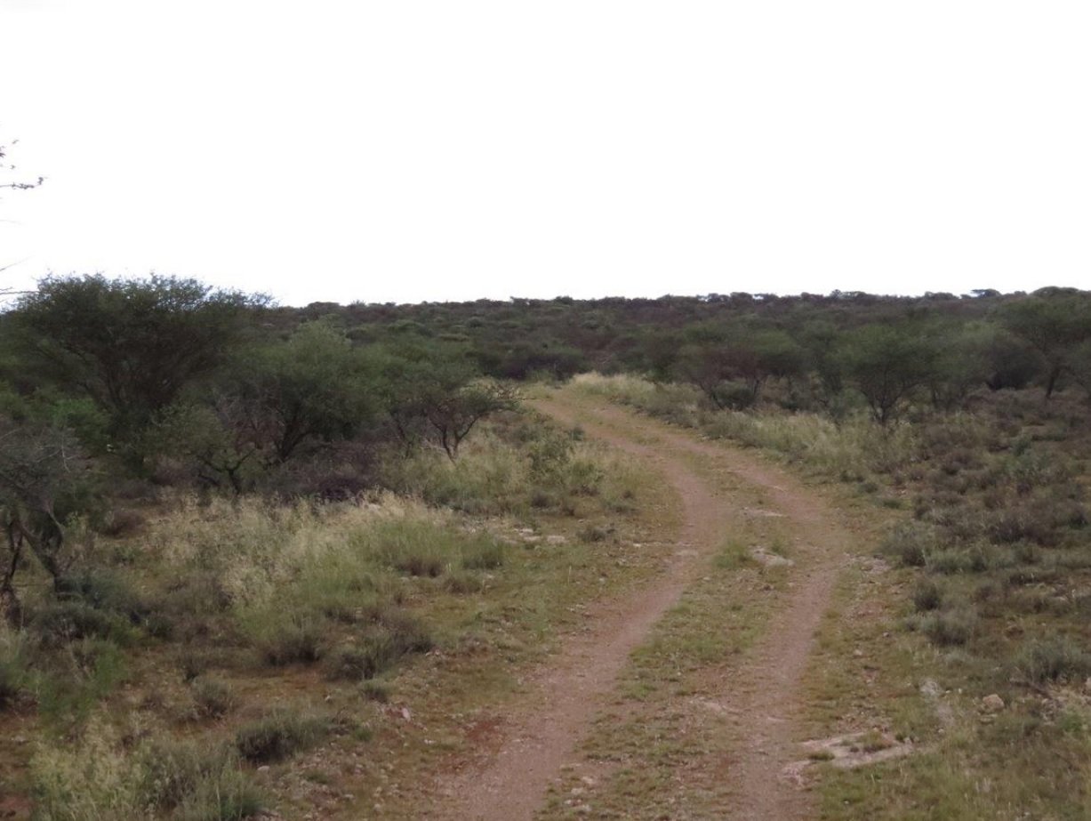 DOUGLAS CAMBLETON   photo 5