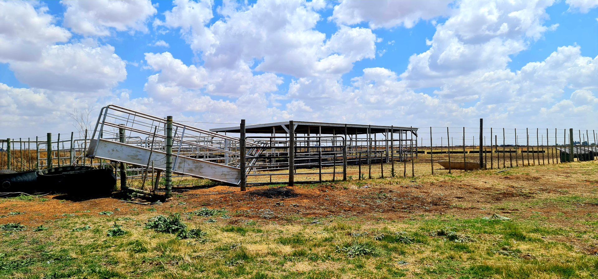 This farm is ideal for cattle production and for fattening sheep. Complete with feedlot and pivot  photo 5