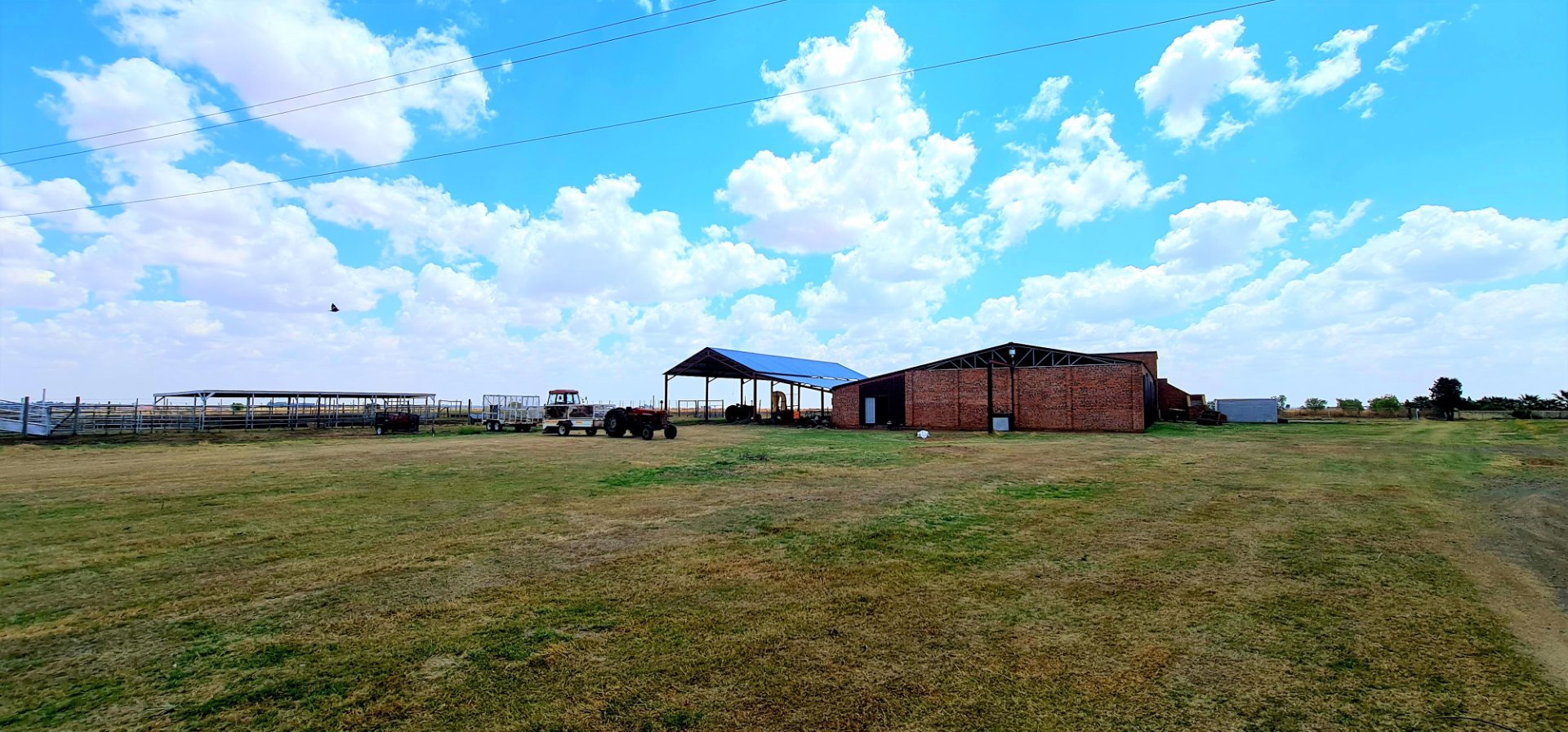 This farm is ideal for cattle production and for fattening sheep. Complete with feedlot and pivot  photo 2