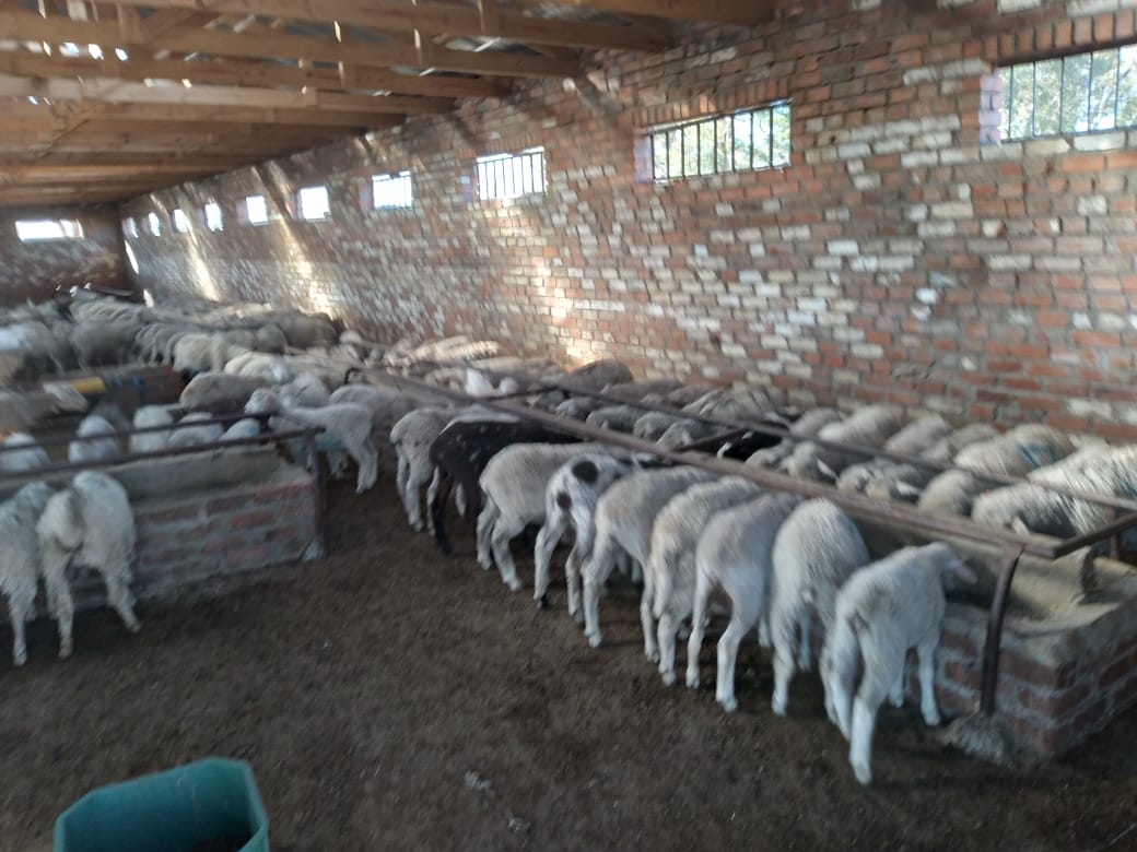 Farm for sale Bloemfontein Rural photo 3