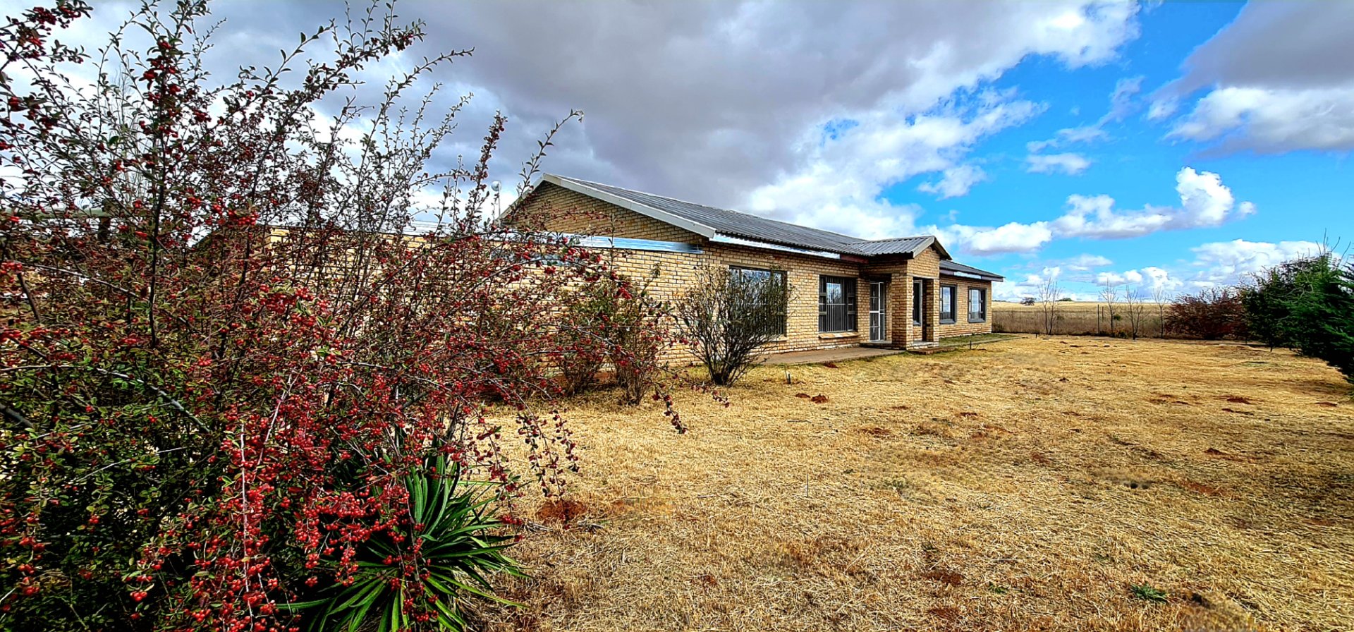 Maintenance free face brick home with an unrestricted view photo 3