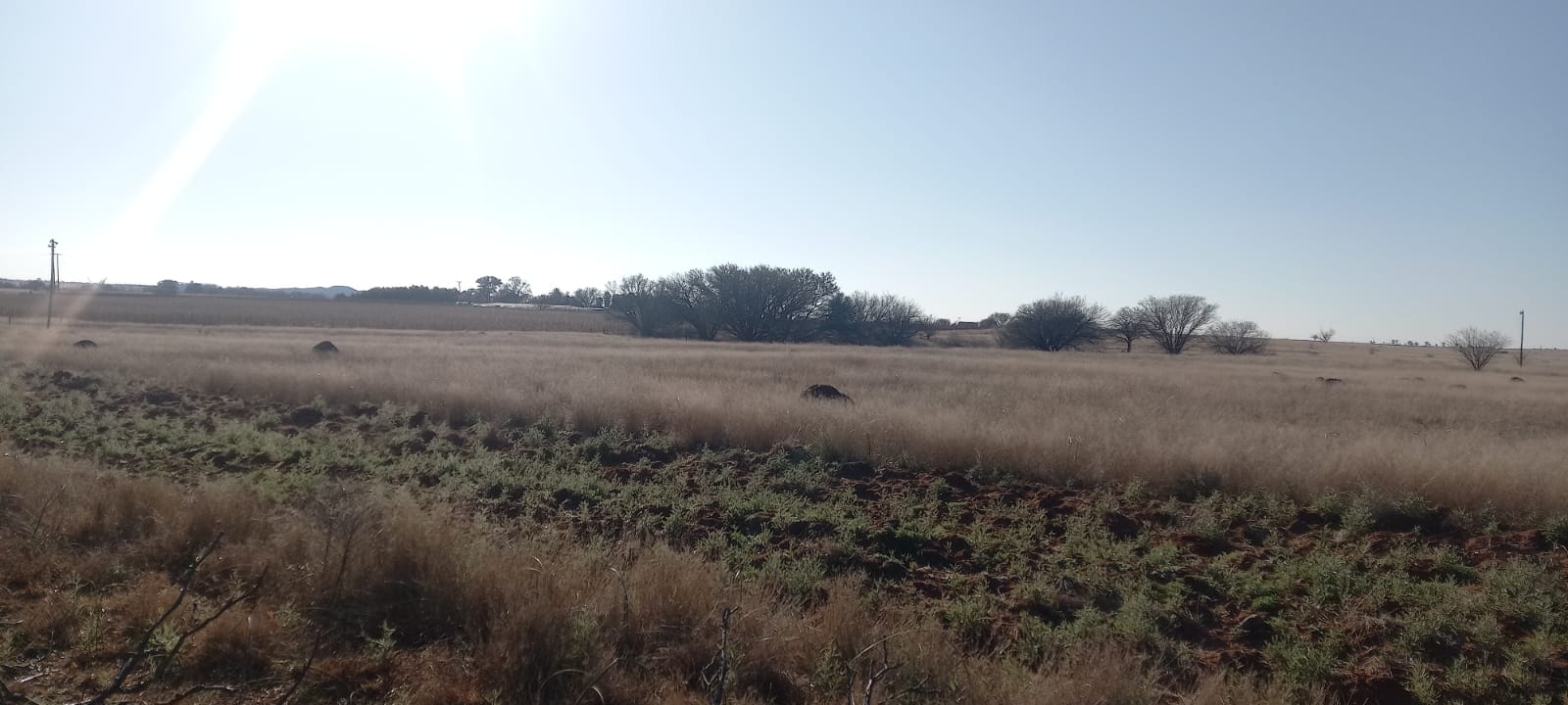 86 Ha farm with 18 Ha registered water rights photo 5
