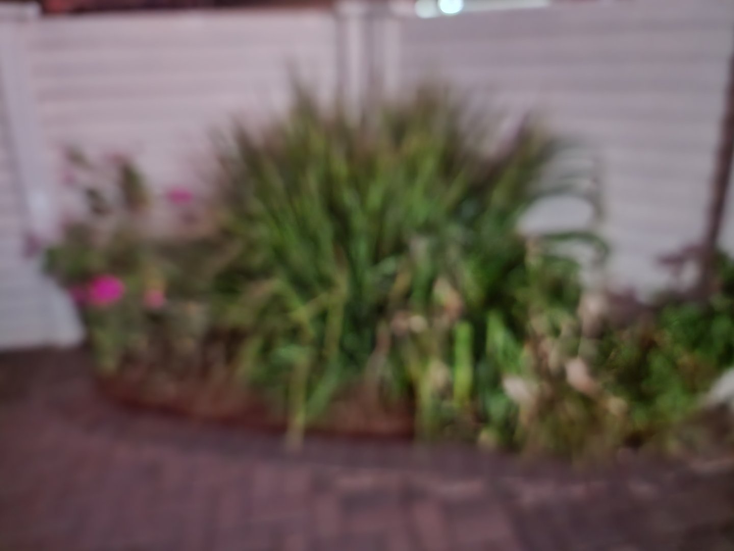 Give away in a very classy complex photo 4