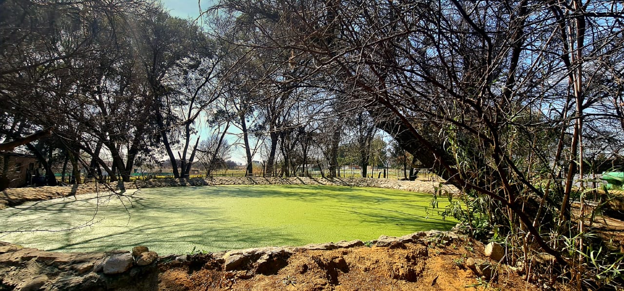 BEST BUY IN BAINSVLEI.....  OPEN TO OFFERS photo 3
