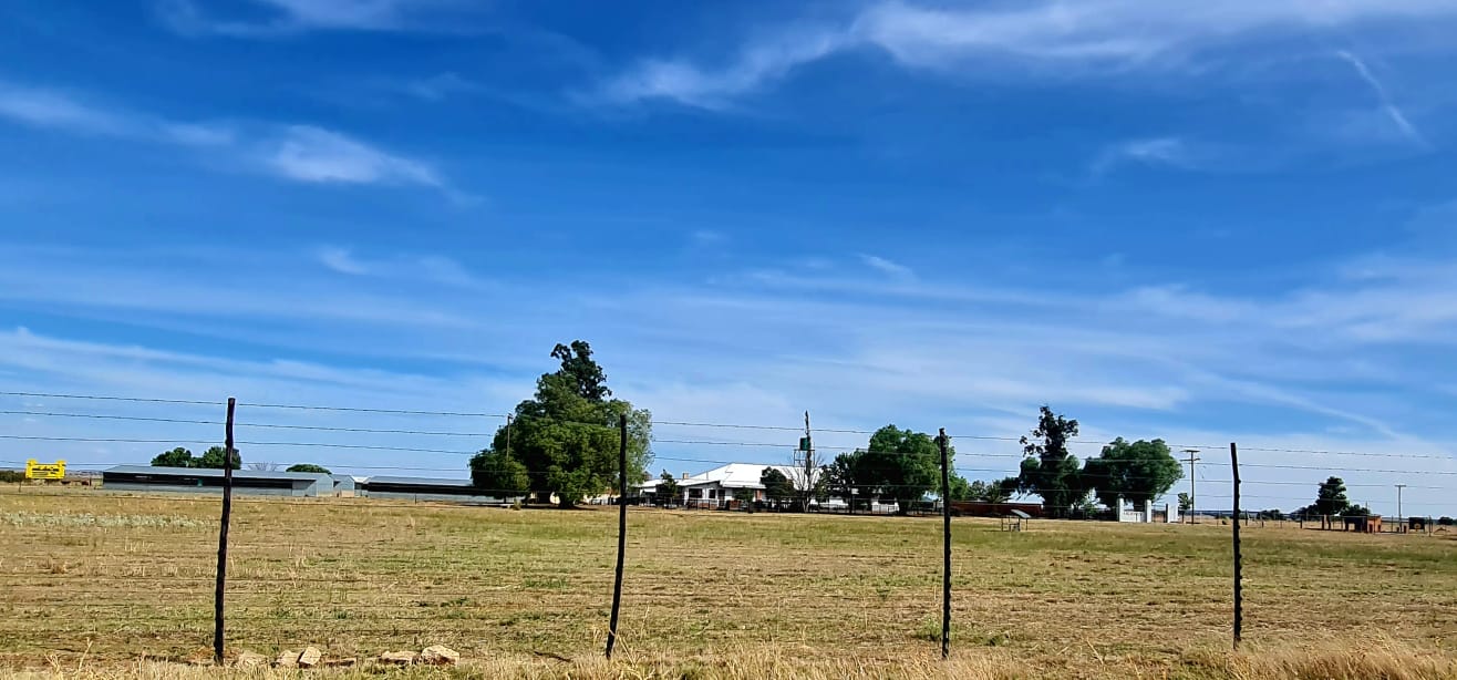 PROFITABLE POULTRY FARM.  A FANTASTIC BUY WITH EXPANDING POTENTIAL  photo 2