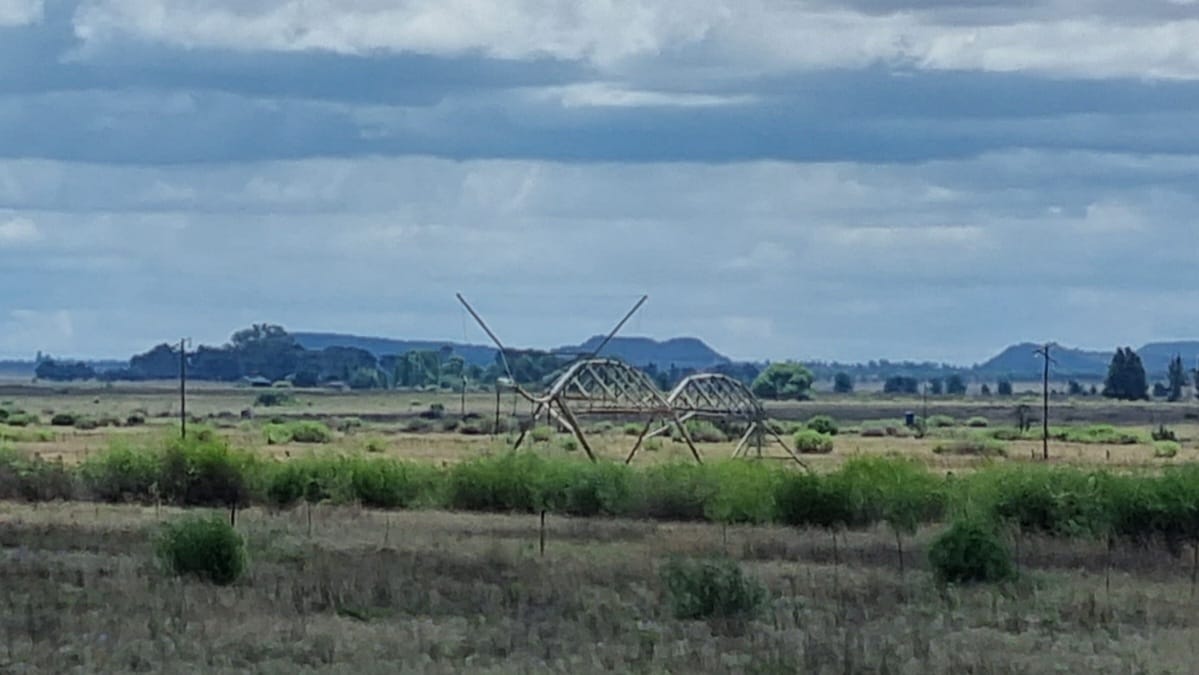 CATTLE AND CROP FARM NEAR BLOEMFONTEIN  photo 4