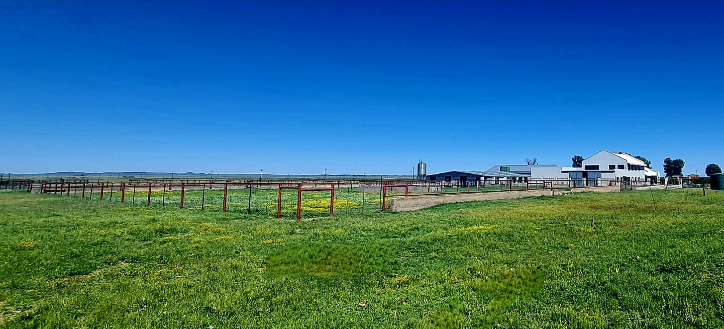 CHICKEN AND CROP FARM WITH FEEDLOT photo 4