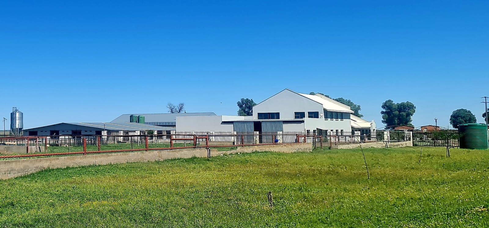 CHICKEN AND CROP FARM WITH FEEDLOT