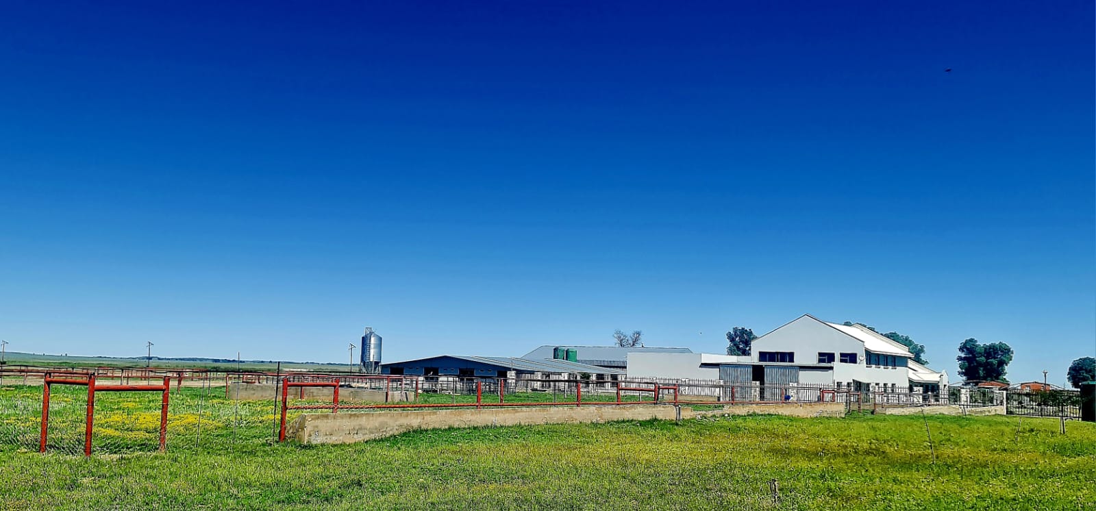 CHICKEN AND CROP FARM WITH FEEDLOT photo 5
