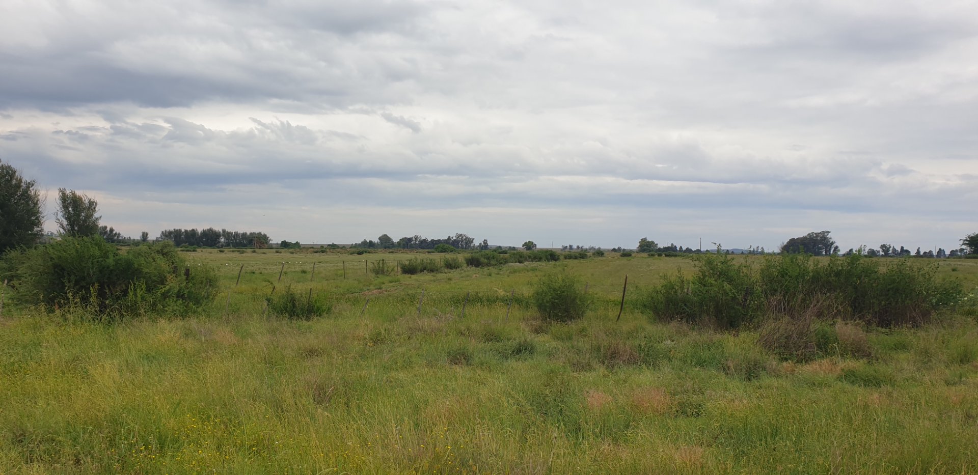 Farm for sale Bloemfontein Rural photo 5