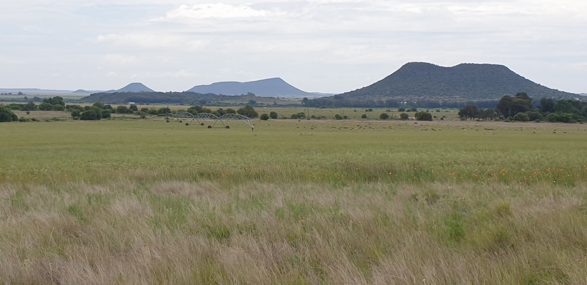 Farm for sale Bloemfontein Rural photo 2