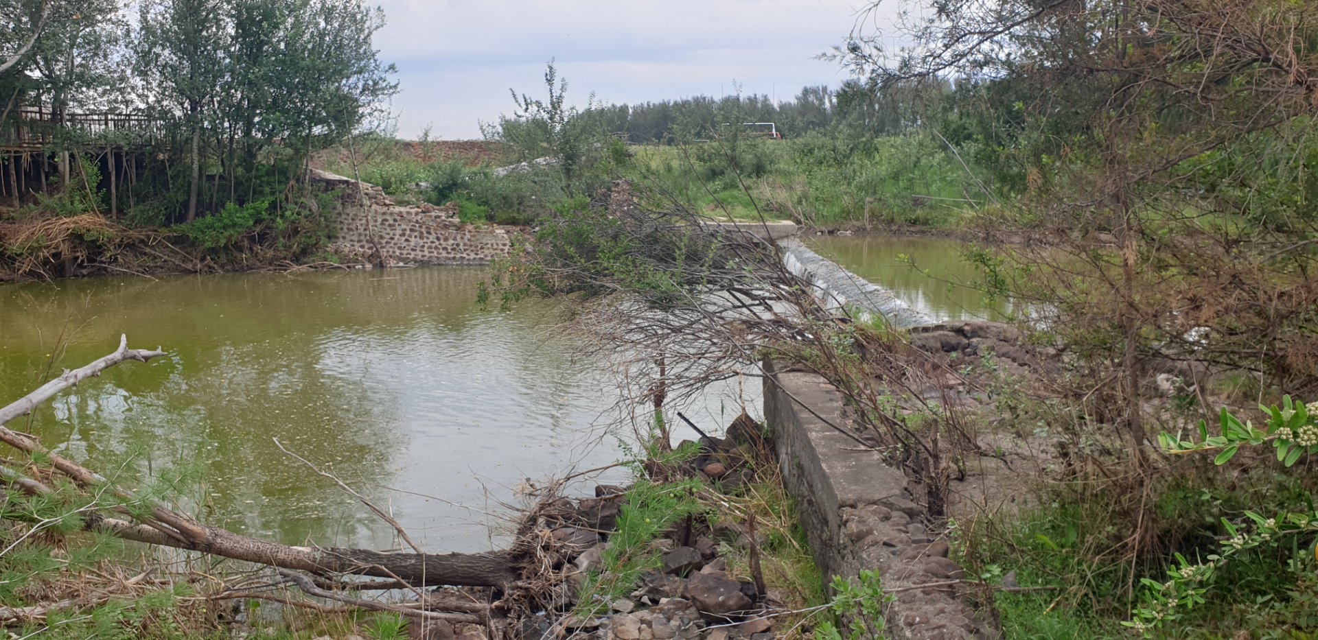 Farm for sale Bloemfontein Rural