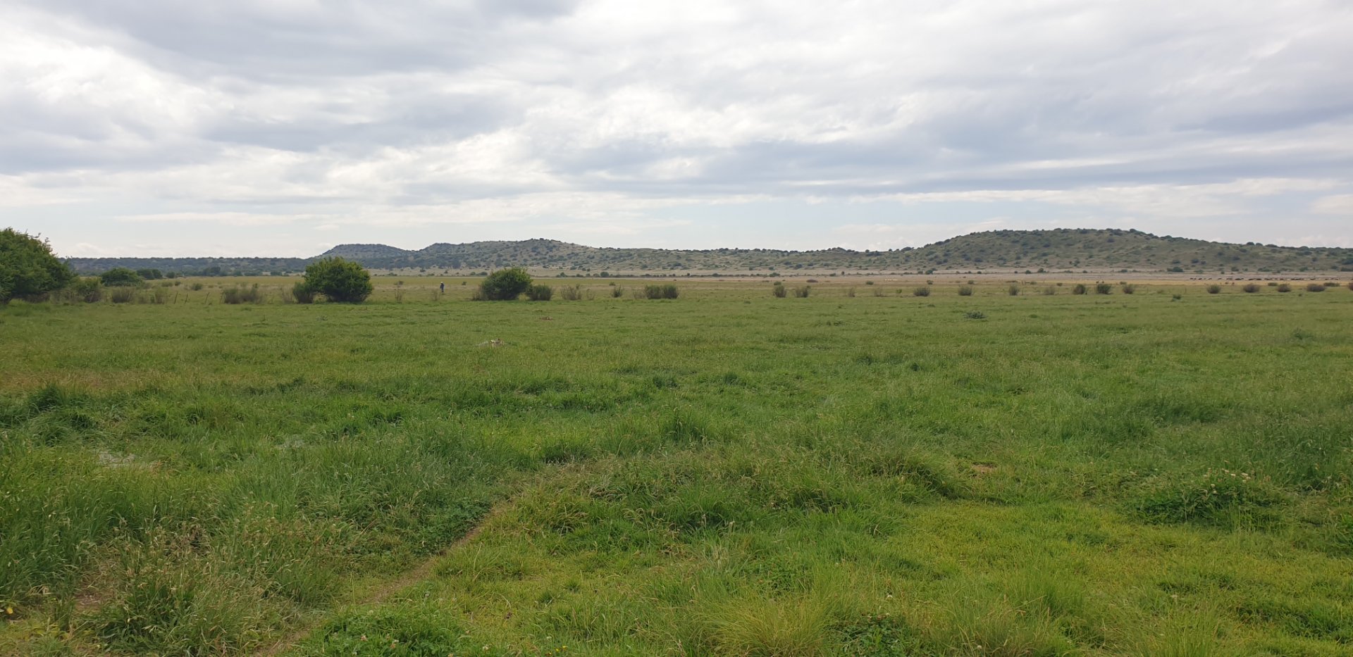Farm for sale Bloemfontein Rural photo 3