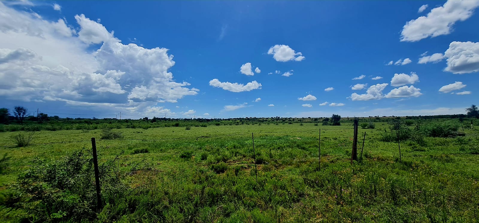 Riverfront farm in Glen with 2 houses and a shed - Make an offer! photo 5