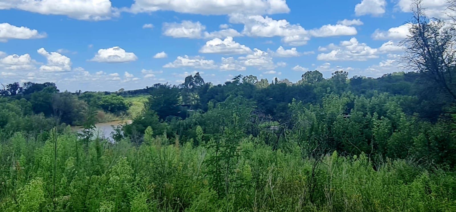 Riverfront farm in Glen with 2 houses and a shed - Make an offer!