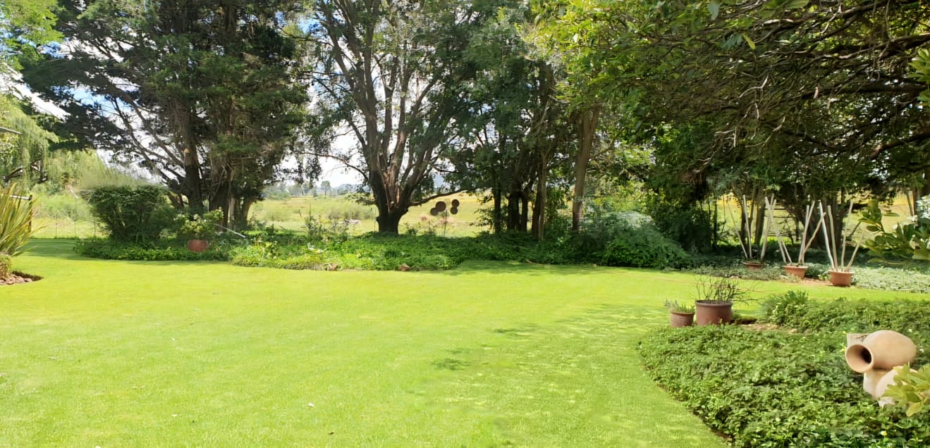 WELL DEVELOPED FARM ON THE BANKS OF THE KAALSPRUIT  photo 3