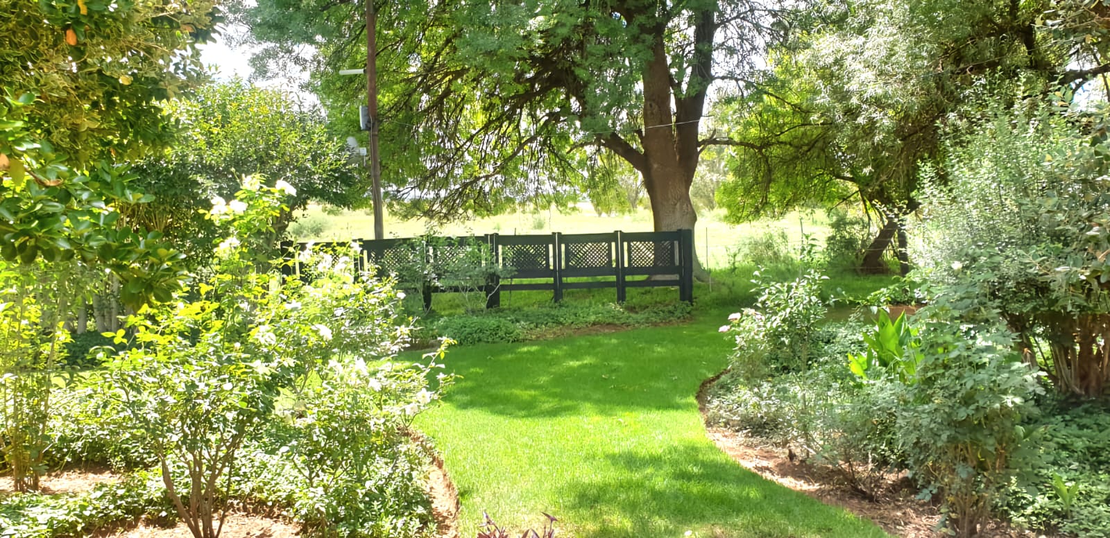 WELL DEVELOPED FARM ON THE BANKS OF THE KAALSPRUIT  photo 2
