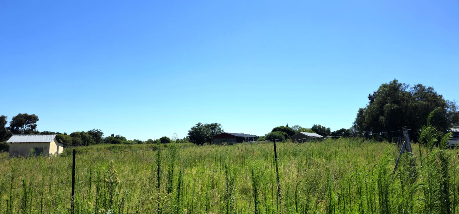 PRIME VACANT LAND IN GROENVLEI EASILY ACCESSIBLE BY TAR ROAD photo 3