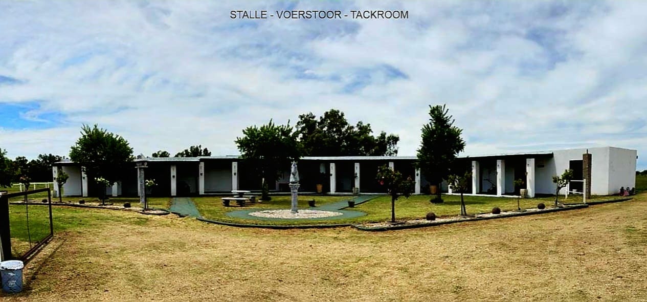 Exceptional Equestrian Estate & Smallholding  photo 5