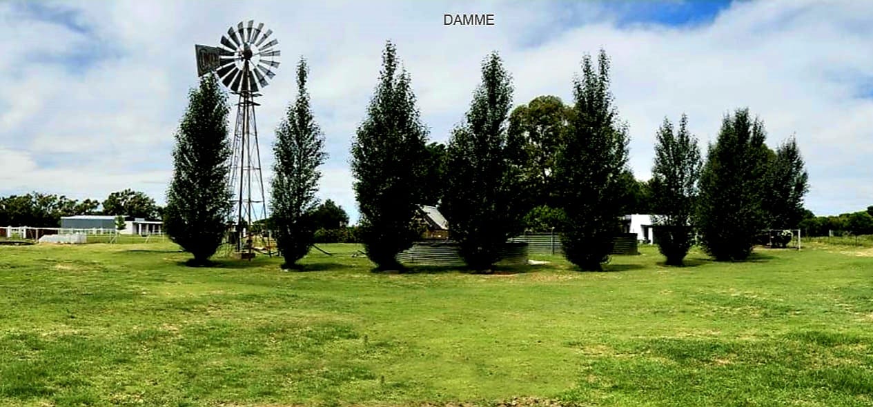 Exceptional Equestrian Estate & Smallholding  photo 4