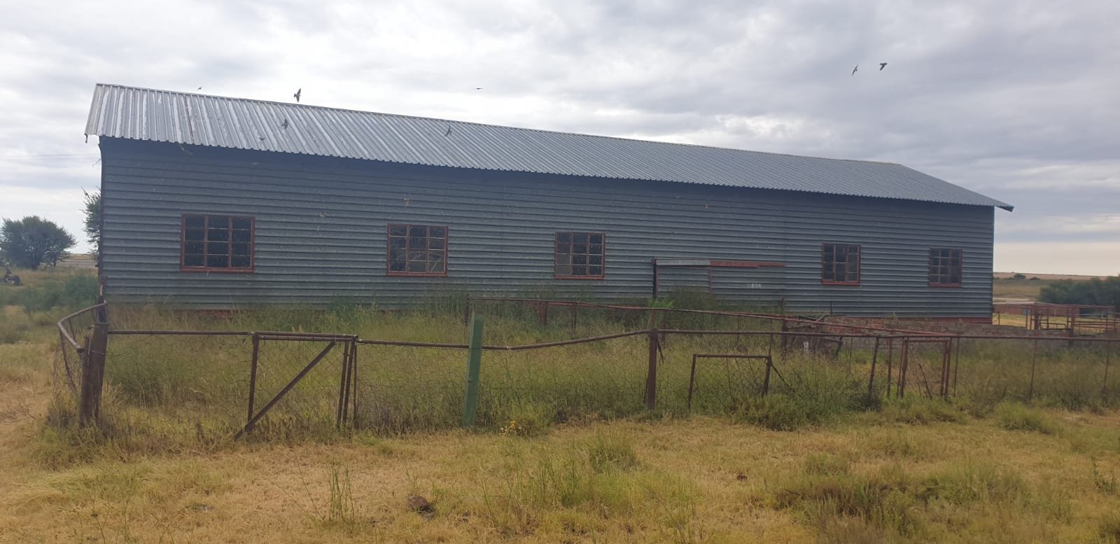Incredibly well looked after Grazing land photo 5