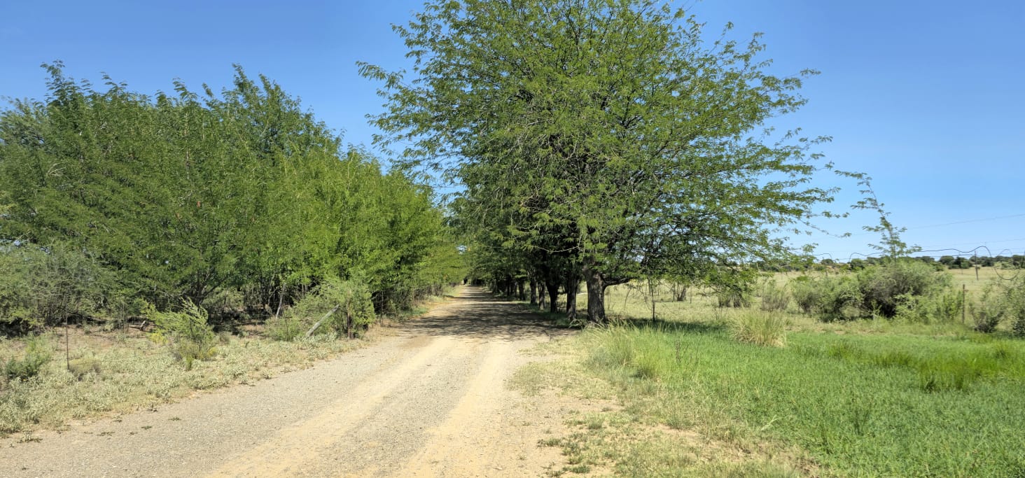 1078 HA  GRAZING FARM WITH 483 000 CUB METERS OF REGISTERED WATER RIGHTS photo 5