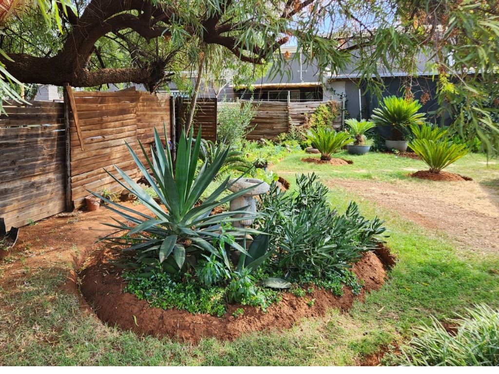 INVESTMENT OPPORTUNITY IN BAINSVLEI!  photo 2