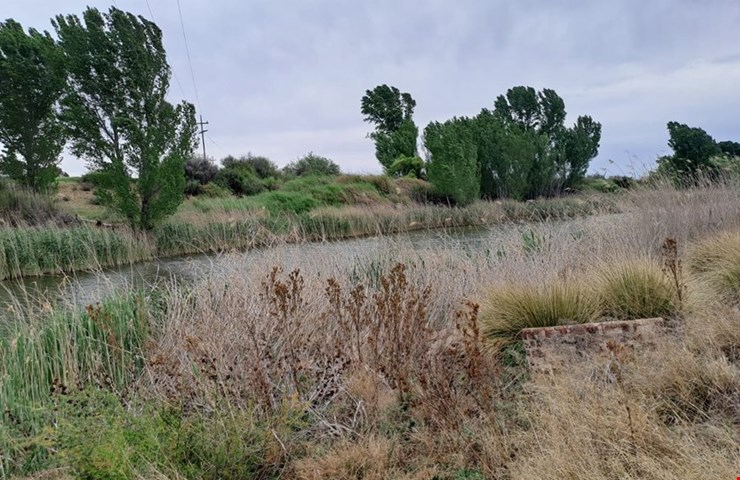 538Ha Riverfront Grazing Farm with Pivot