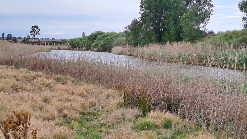 538Ha Riverfront Grazing Farm with Pivot photo 4